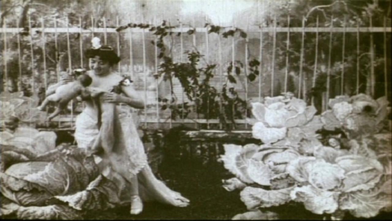 The Cabbage-Patch Fairy 1896 movie scene