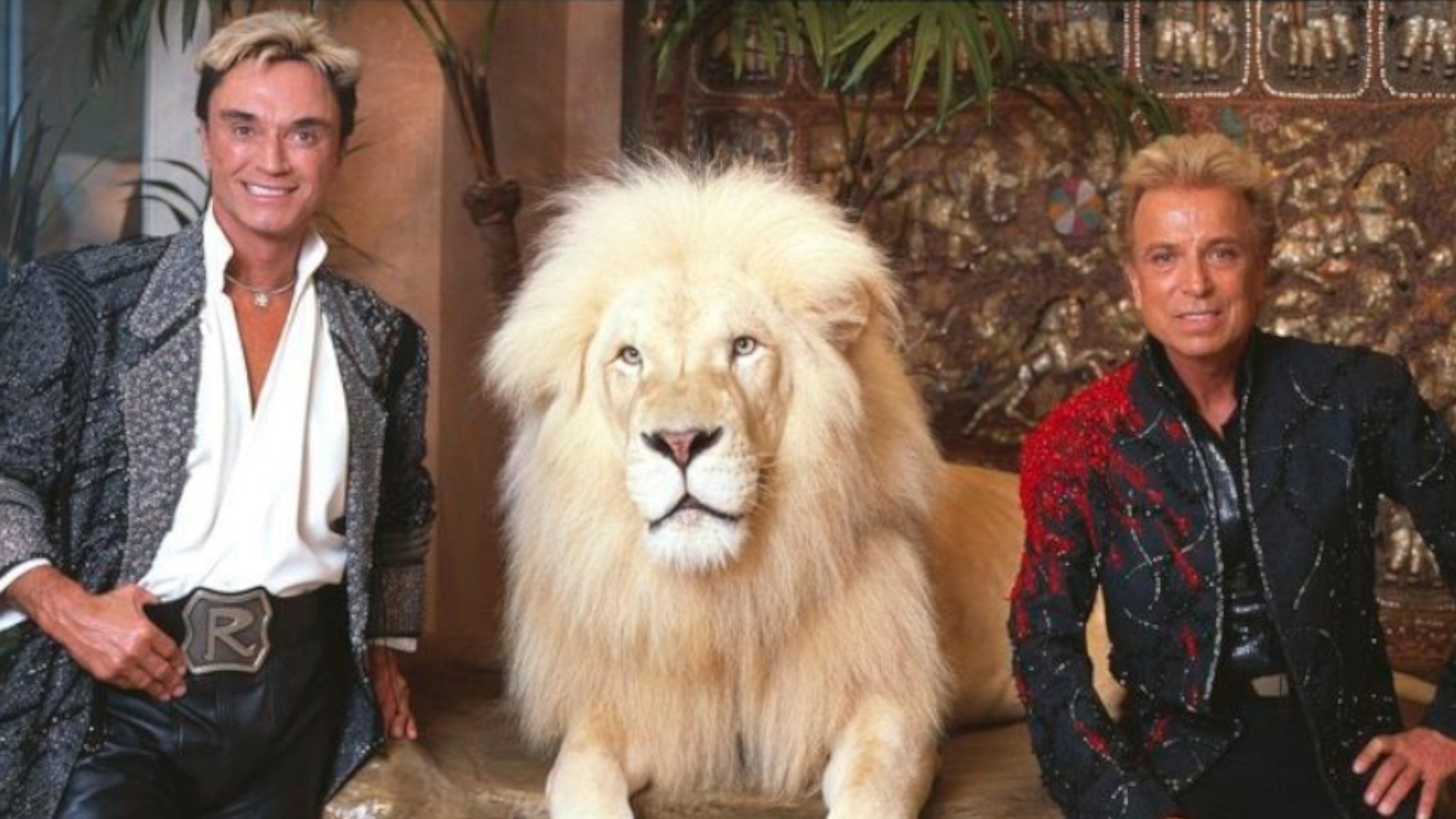 A Tribute to Siegfried & Roy 2008 movie scene