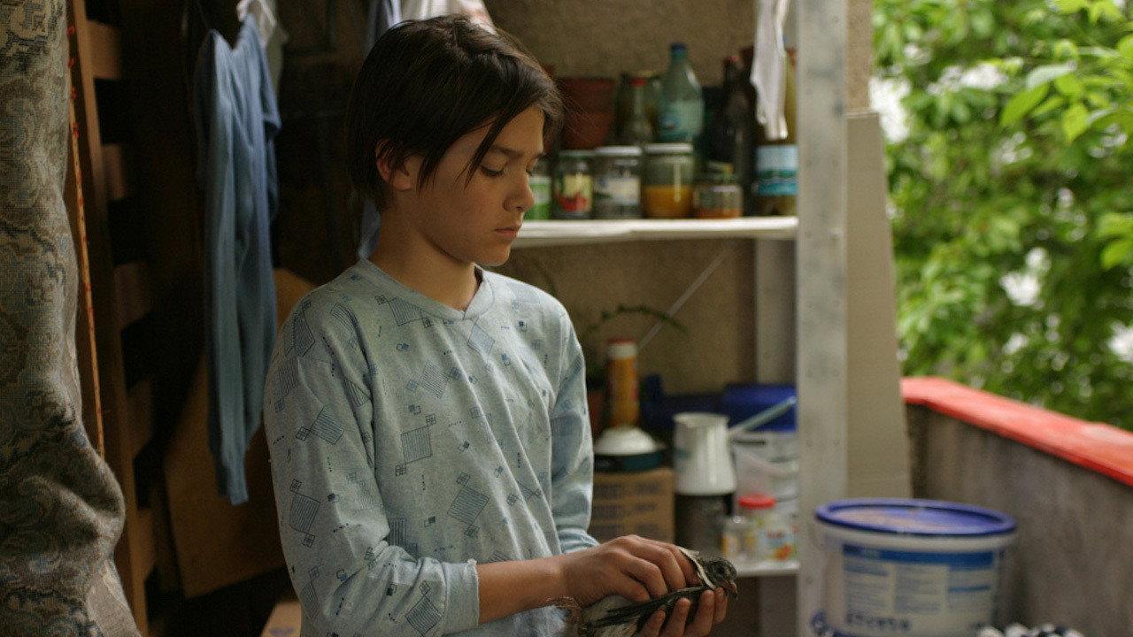 The Cage 2010 movie scene