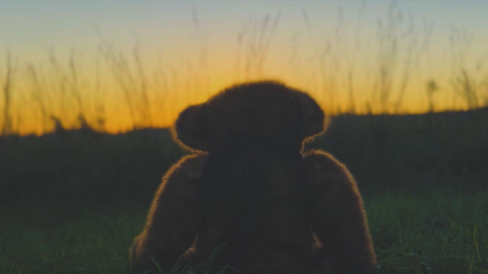 The Boy and the Bear 2024 movie scene