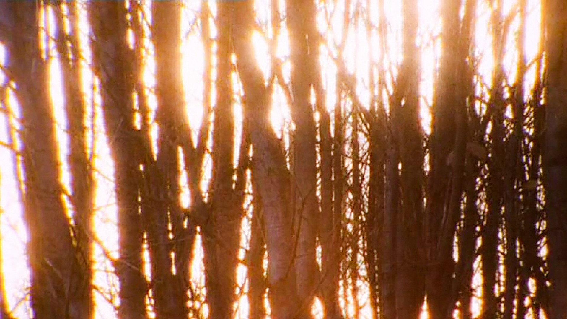 Aspect 2004 movie scene