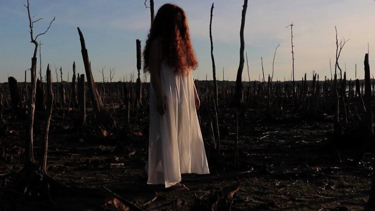 The Girl in the Cornfield 2016 movie scene