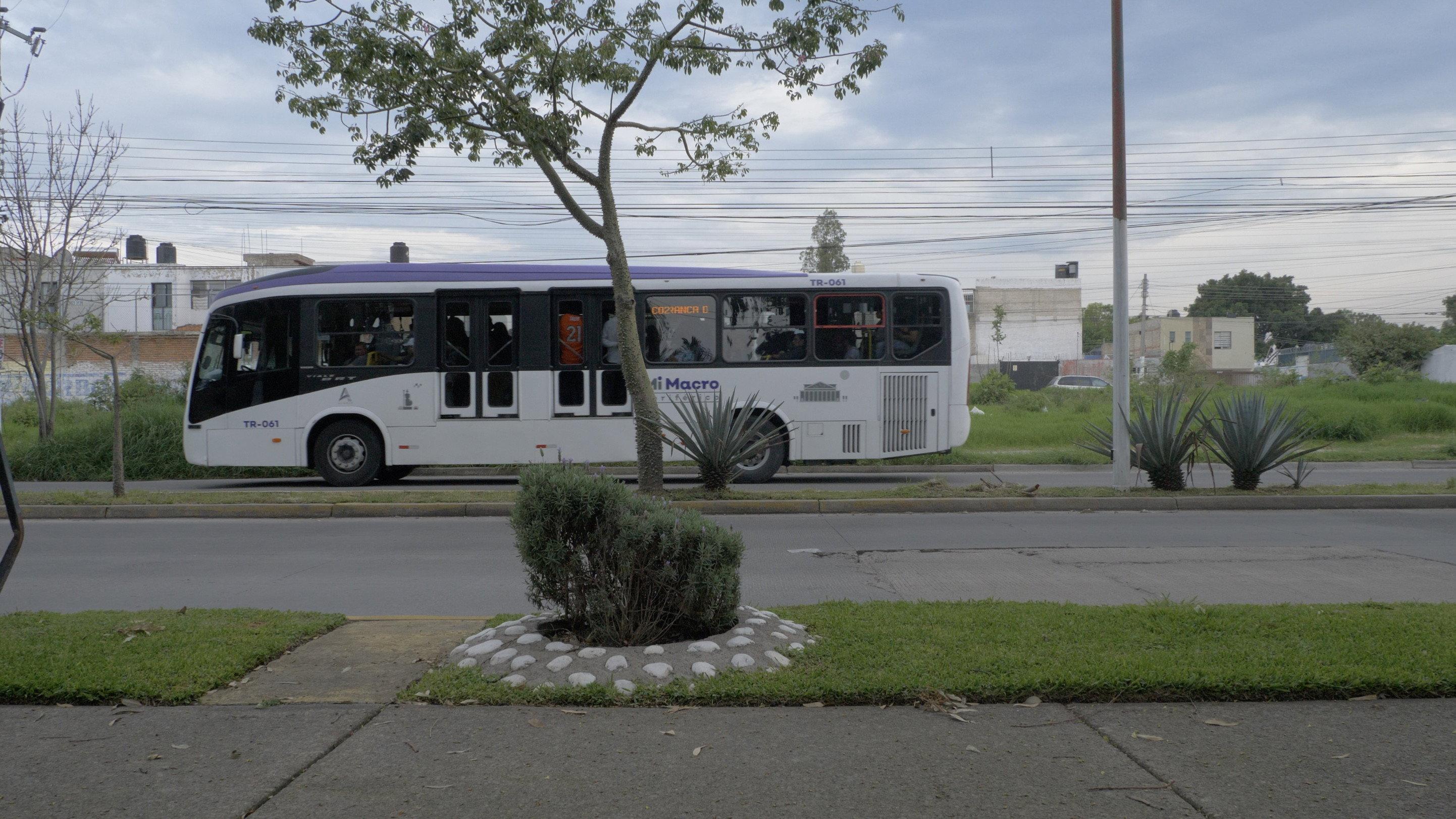 significantes, cinco de cinco 2024 movie scene