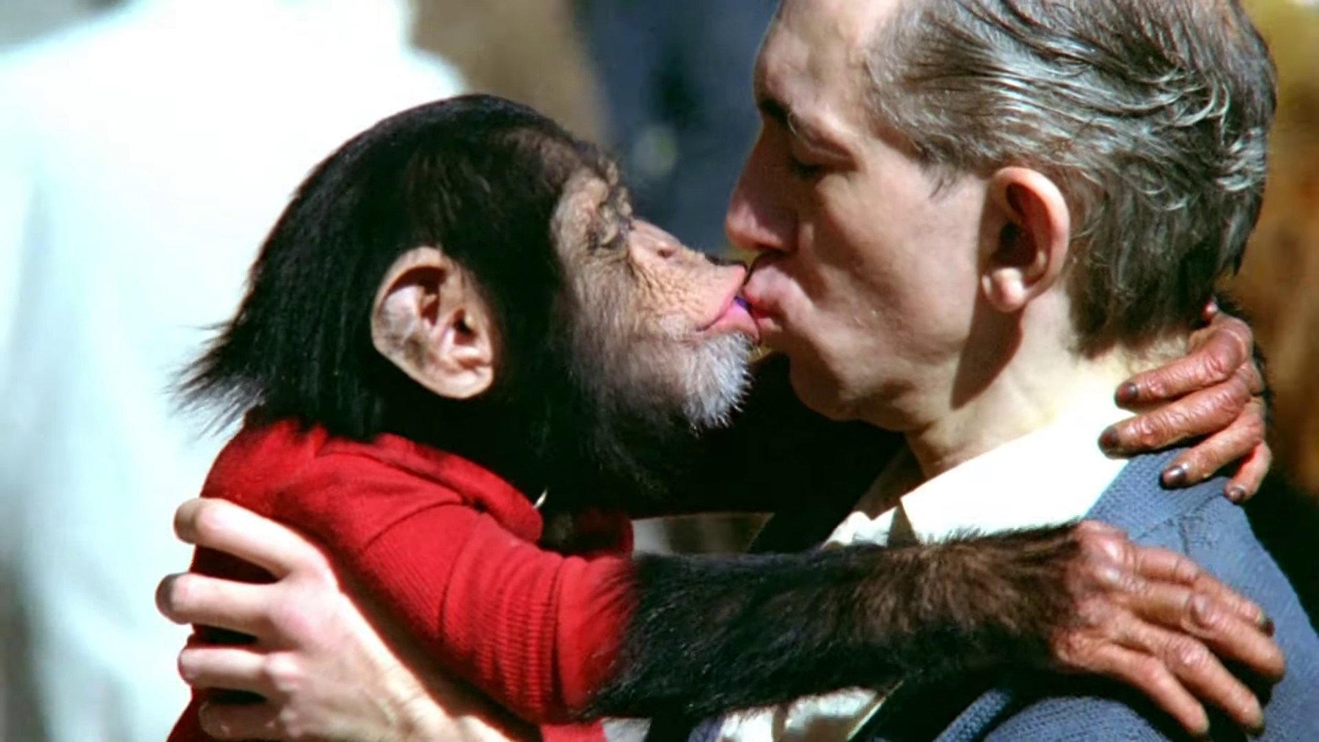 Manimals 1978 movie scene
