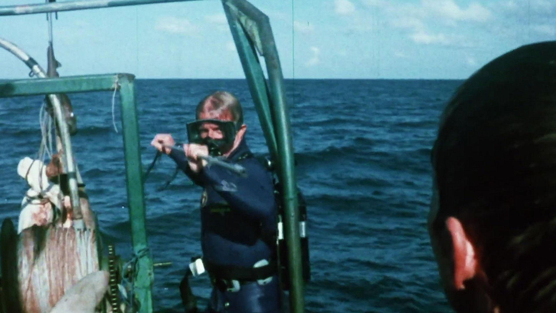 Mako: The Jaws of Death 1976 movie scene