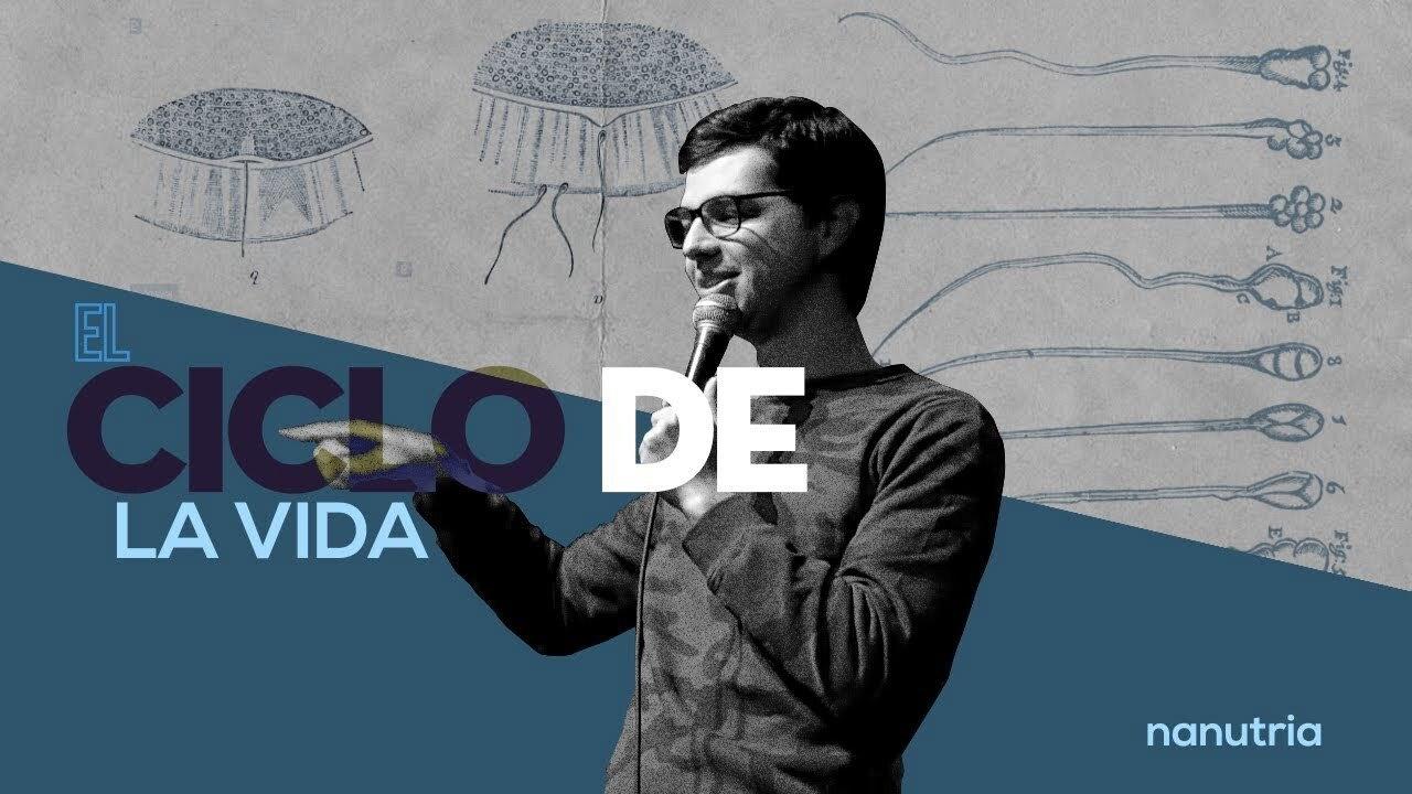 Nanutria: El ciclo de la vida 2019 movie scene