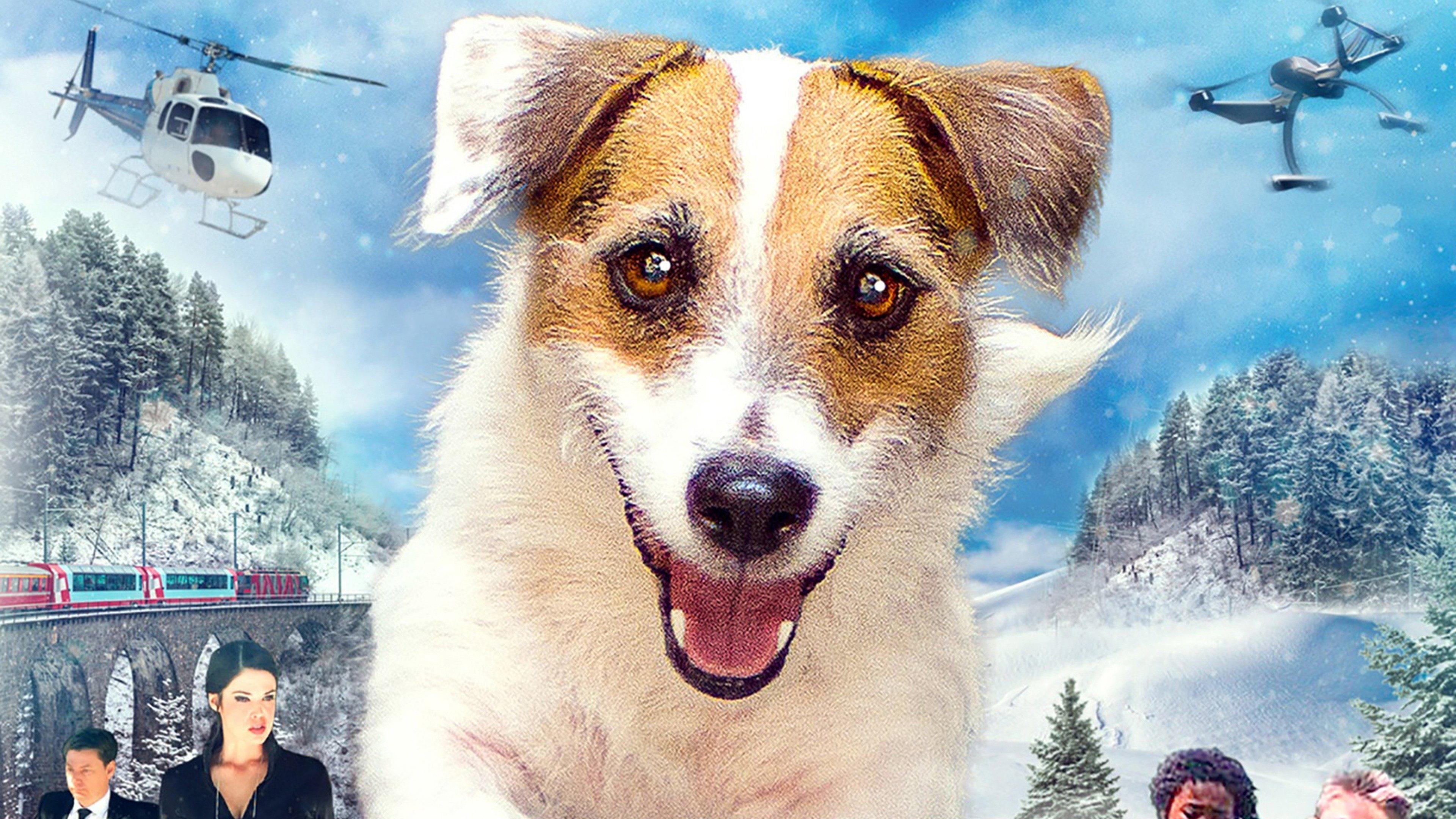A Doggone Christmas 2016 movie scene