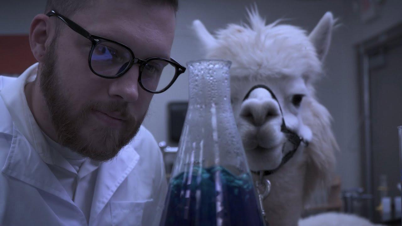 Alpacalypse 2024 movie scene