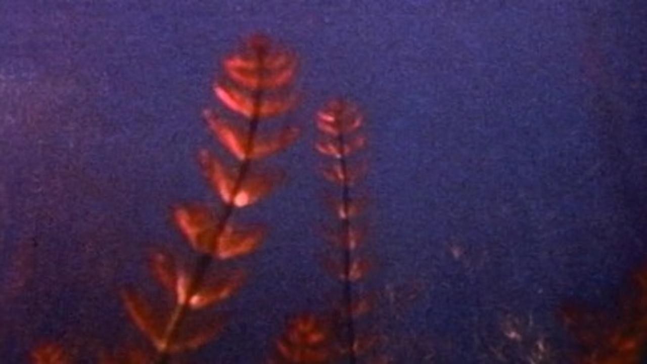 Pond and Waterfall 1982 movie scene
