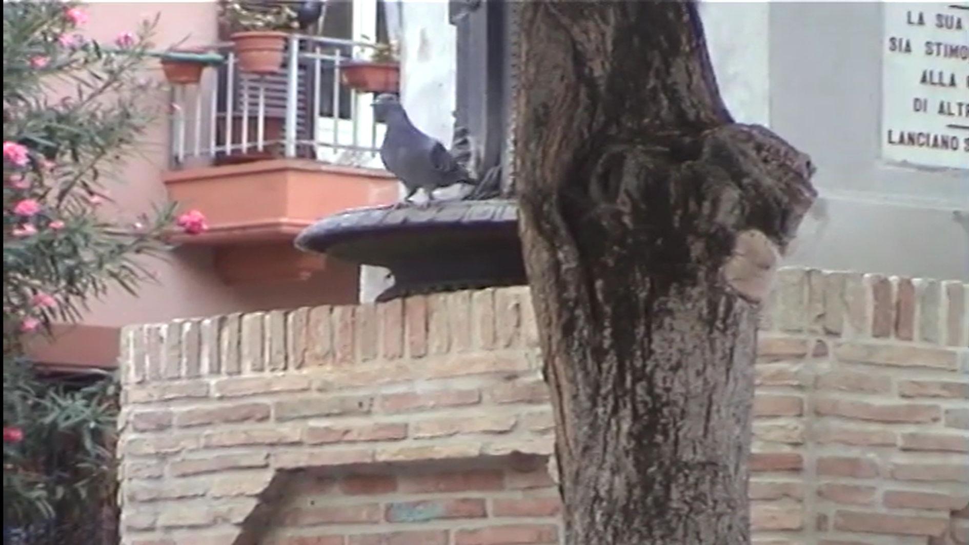 GUERRILLA GARDENING 2018 movie scene