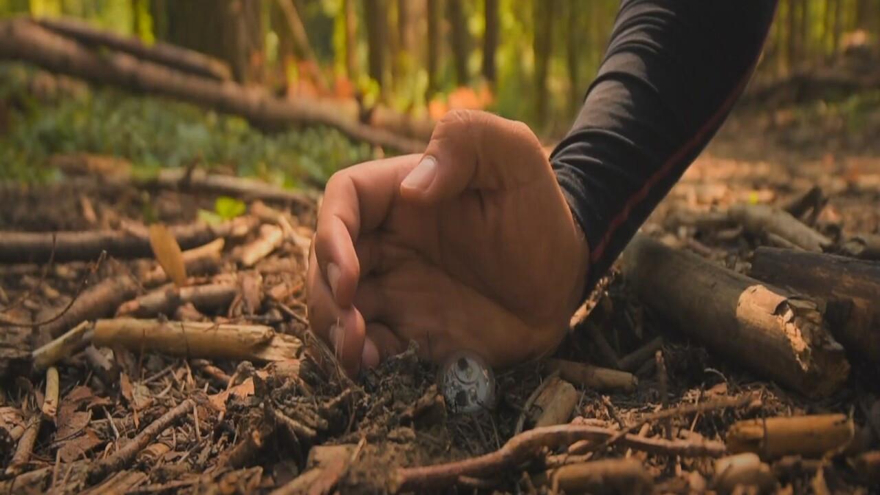 Neo-Gaia 2019 movie scene