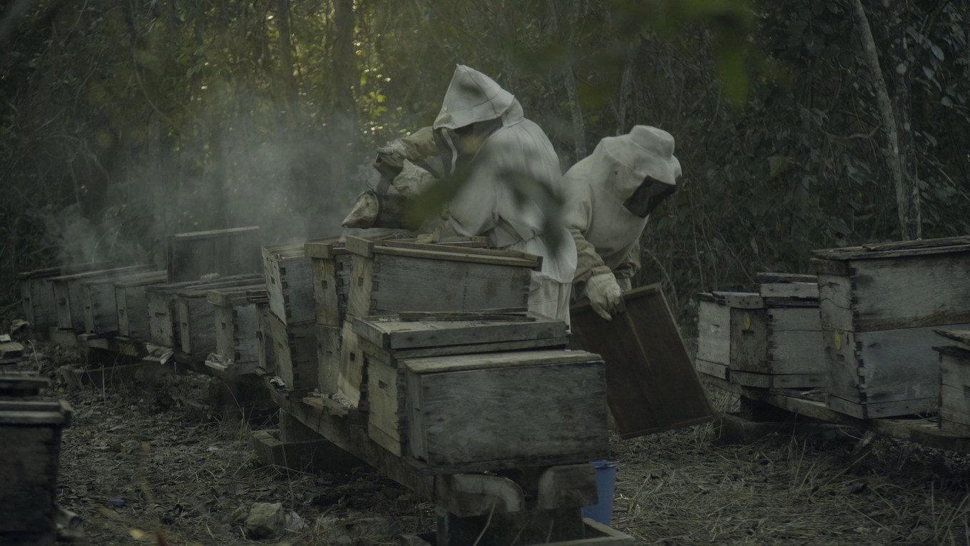 What Happened to the Bees? 2018 movie scene