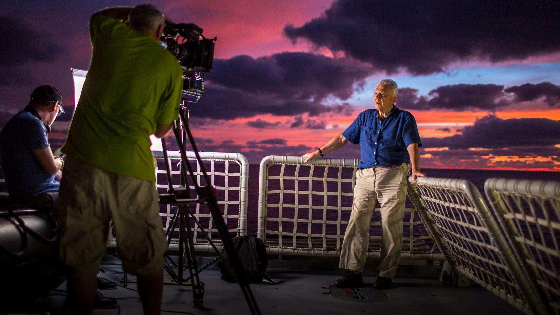 Attenborough at 90: Behind the Lens 2016 movie scene