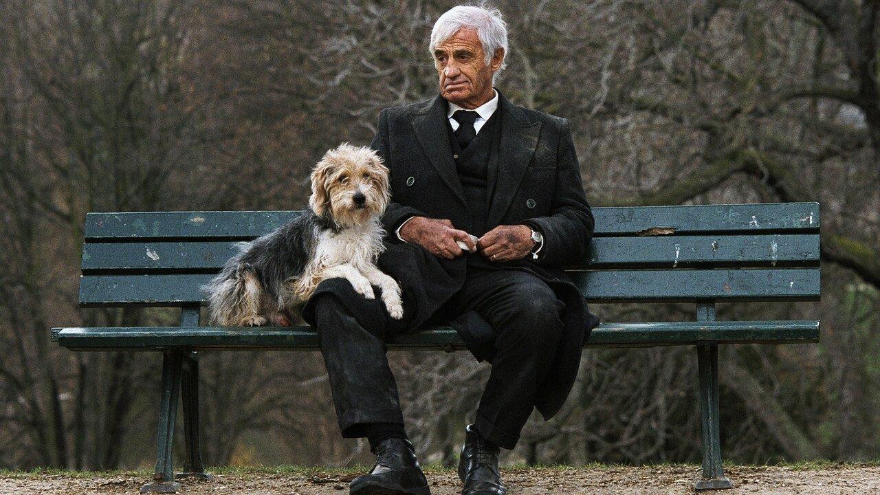 A Man and His Dog 2009 movie scene