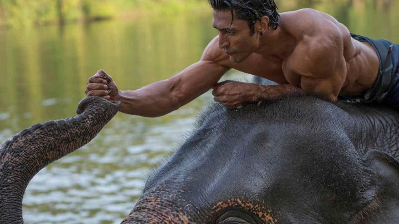 Junglee 2019 movie scene