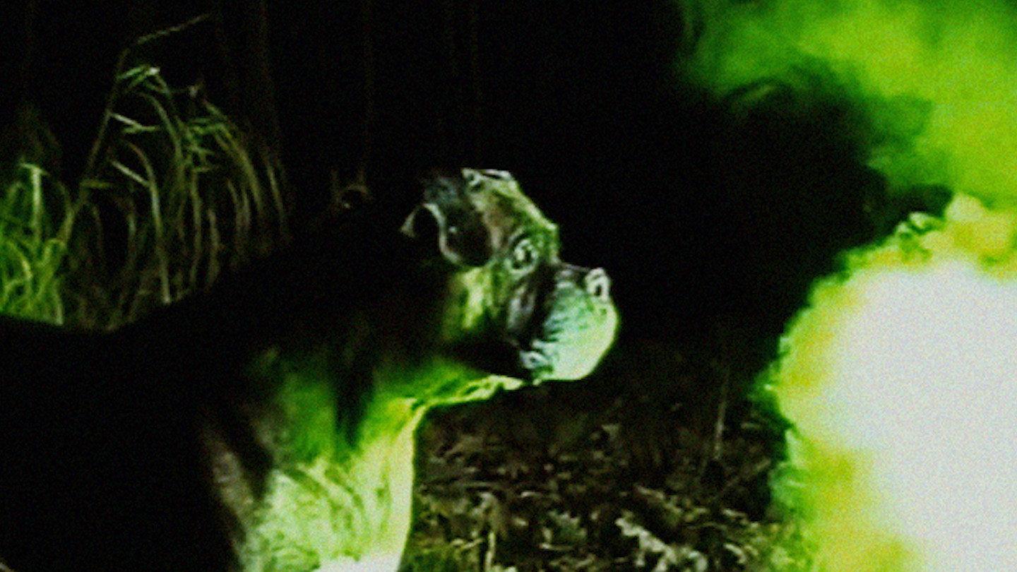 Bonkey: The Mutated 2026 movie scene