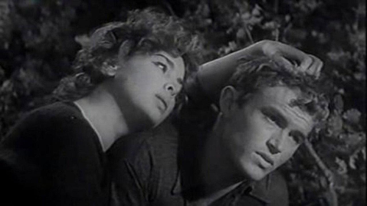 The Year Long Road 1958 movie scene