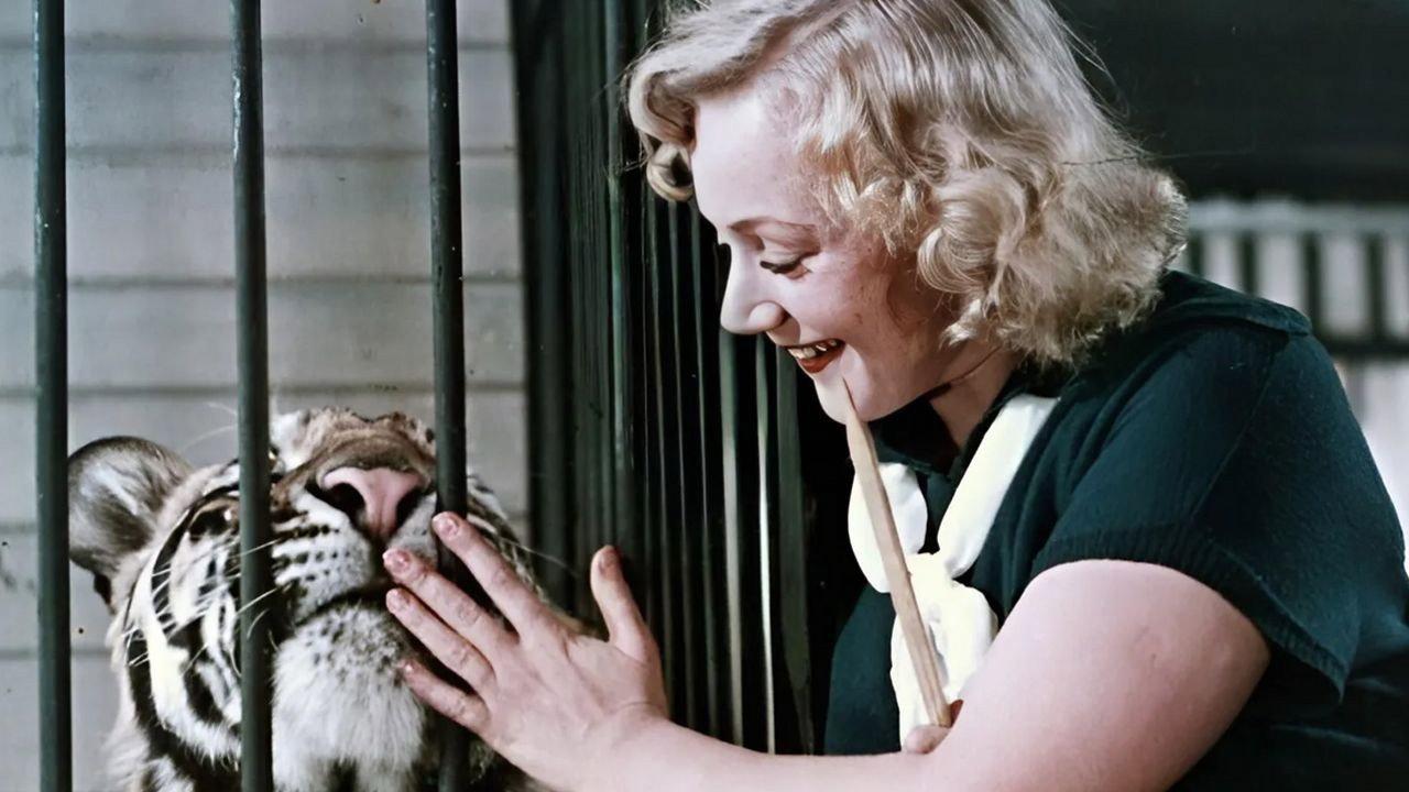 Tiger Girl 1954 movie scene