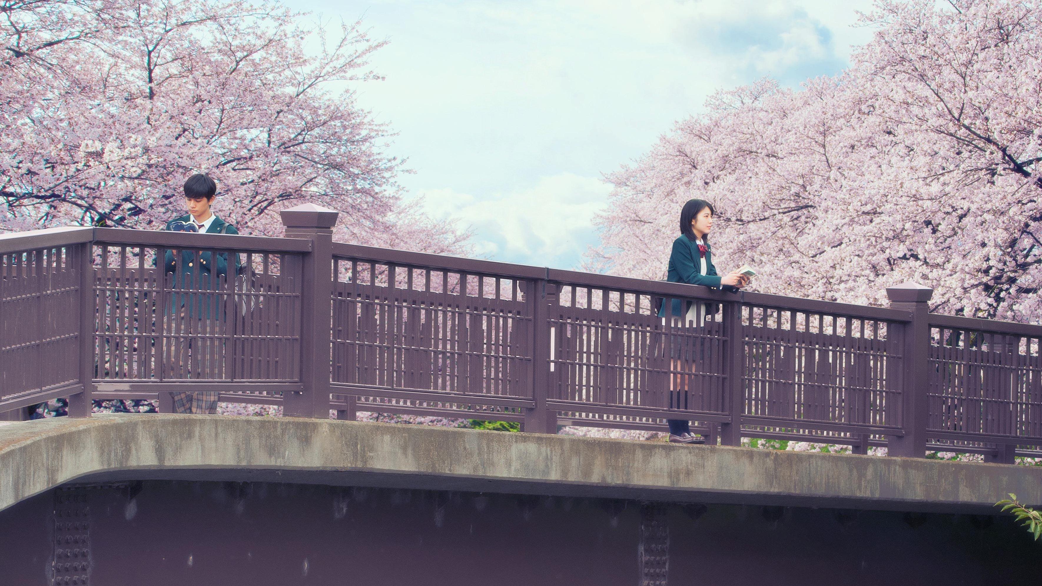 Let Me Eat Your Pancreas 2017 movie scene