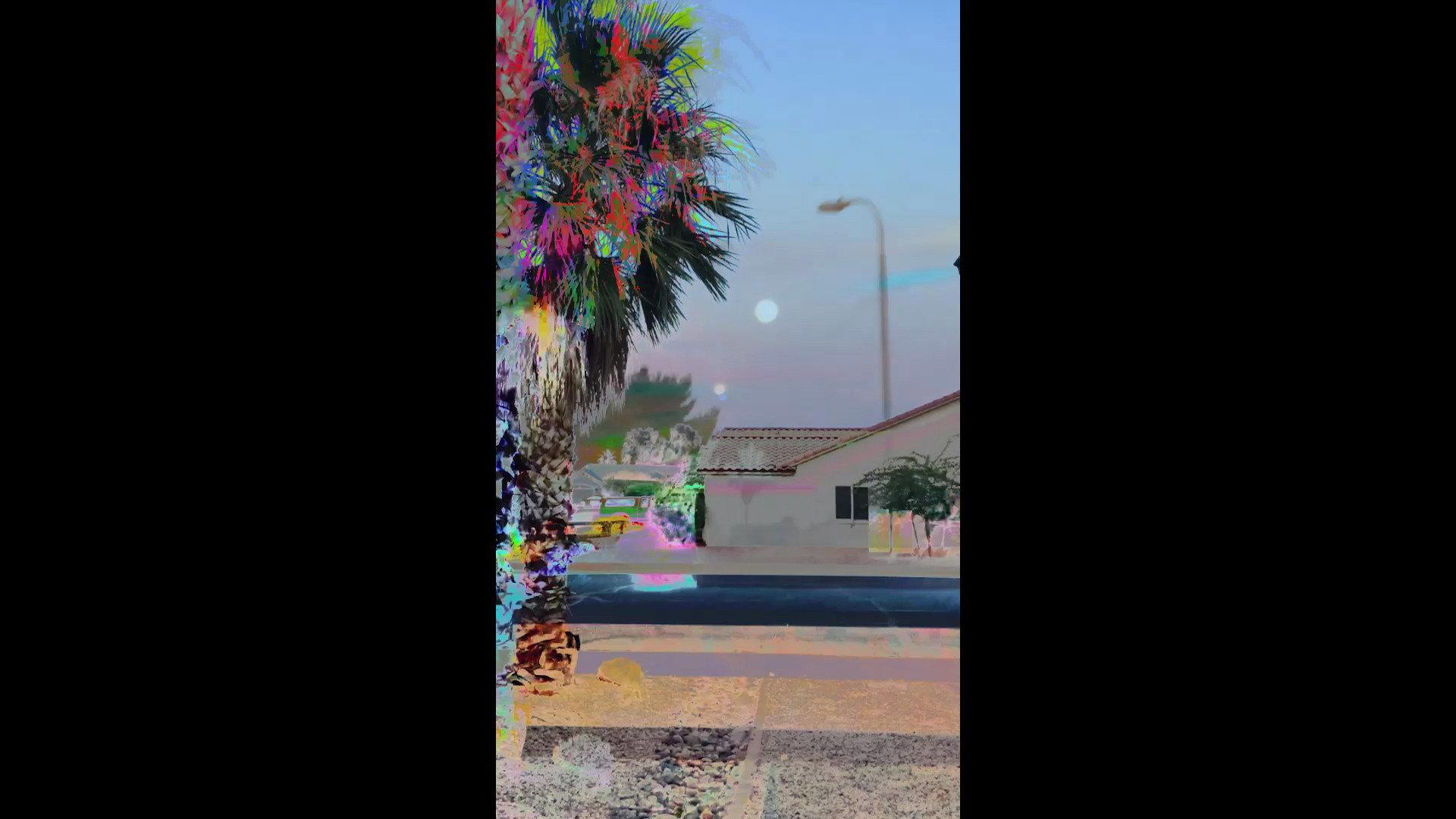 Almost Anything 2017 movie scene
