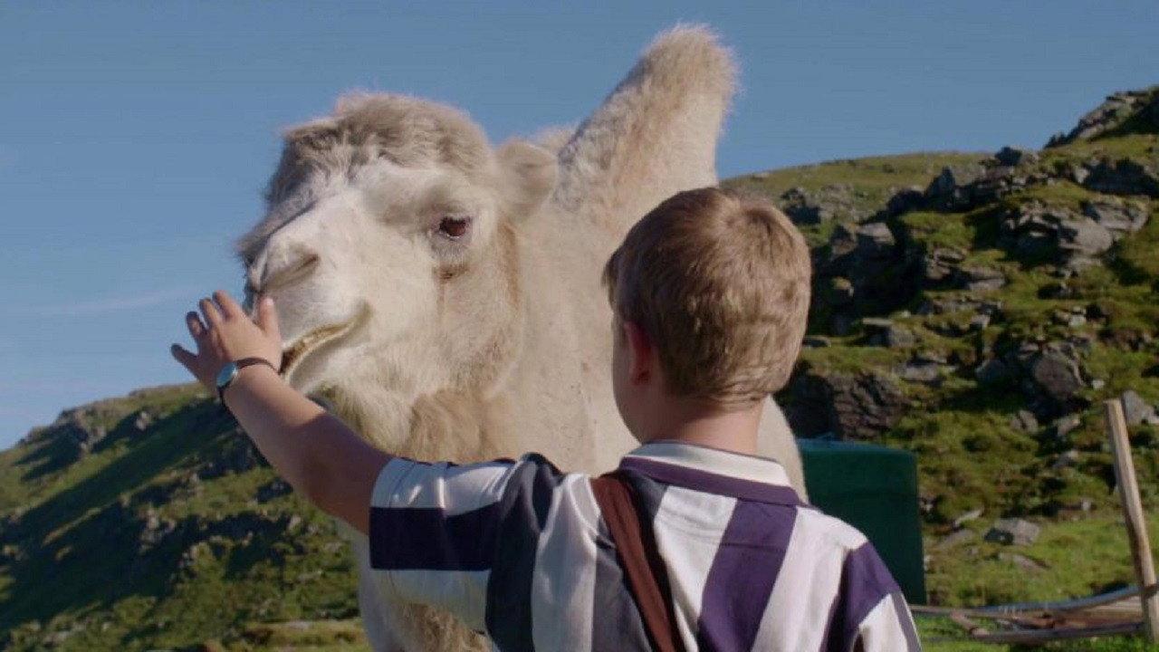 The Arctic Camels 2019 movie scene