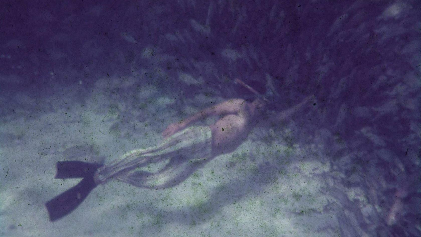Saved From The Waters 2018 movie scene