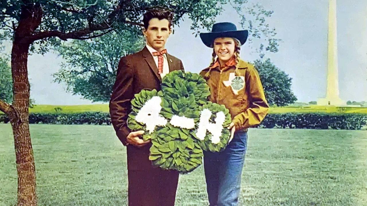 Tomboy and the Champ 1961 movie scene
