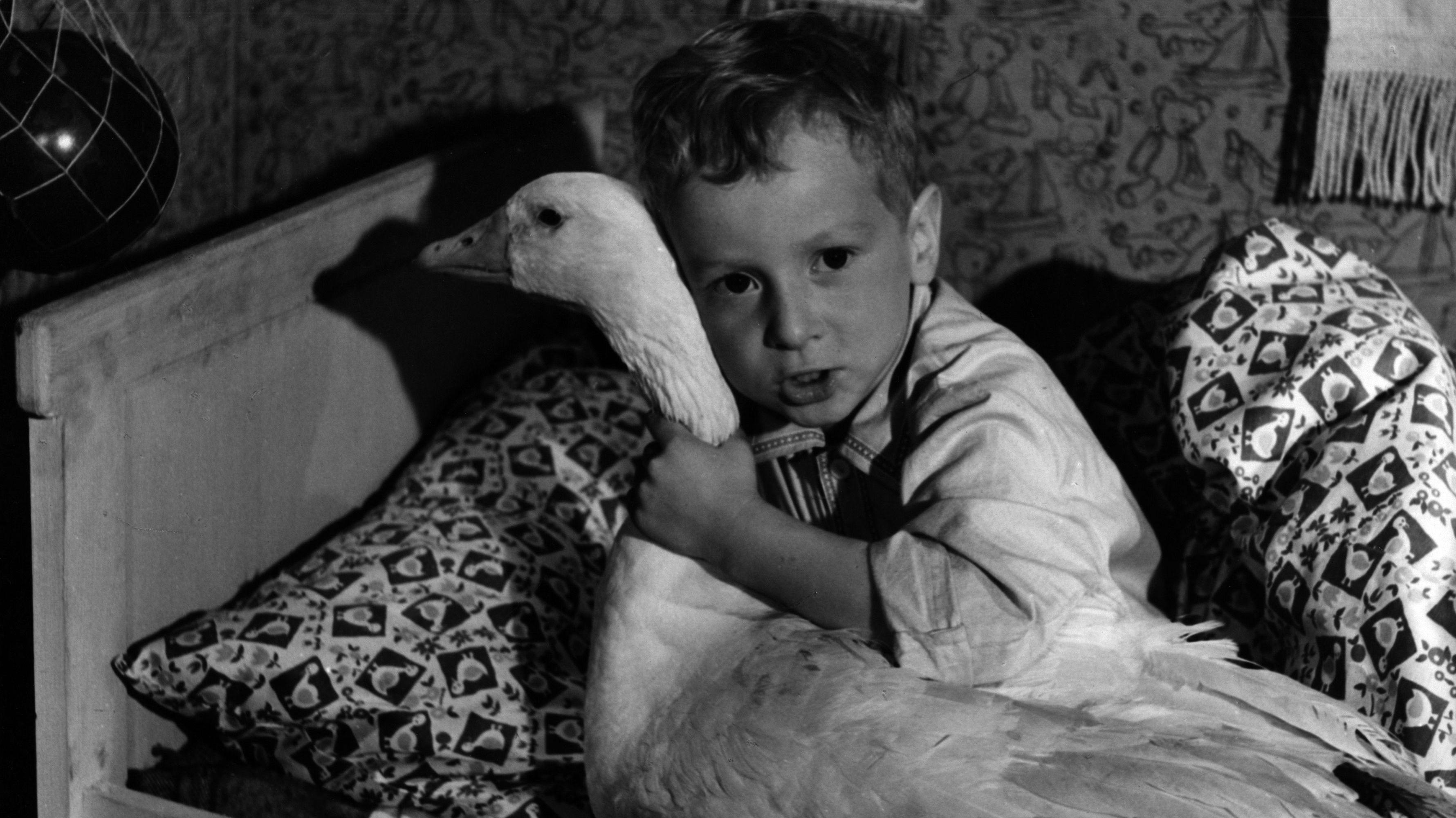 Peterle und die Weihnachtsgans Auguste 1964 movie scene