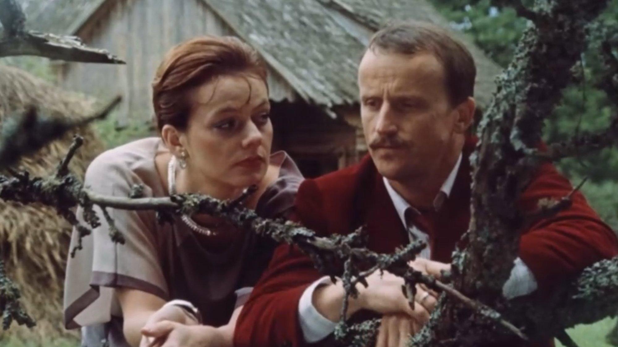 Raspberry Wine 1984 movie scene