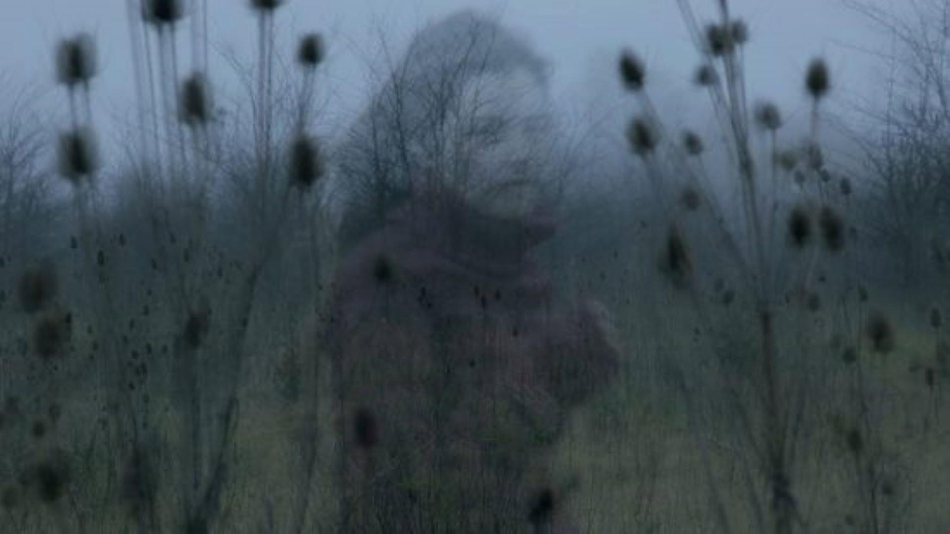 Ghosts 2013 movie scene