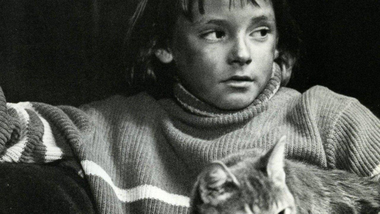 The Alley Cat 1985 movie scene