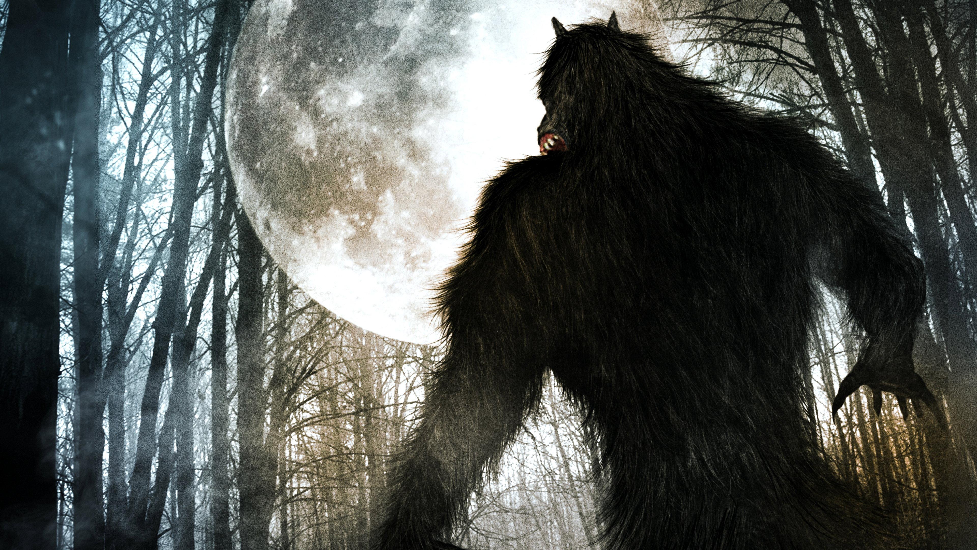 Werewolf Rising 2014 movie scene