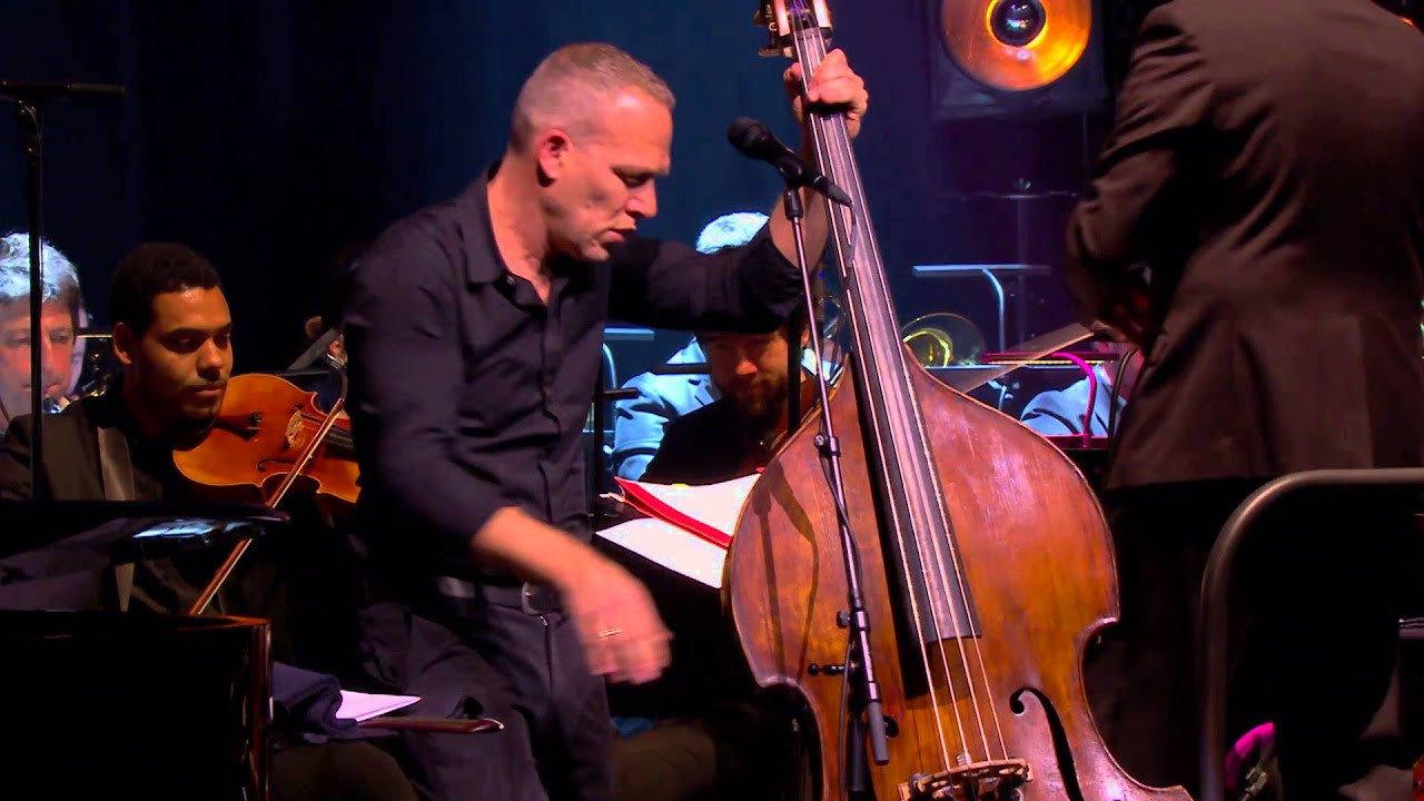 Avishai Cohen Symphony 2016 movie scene