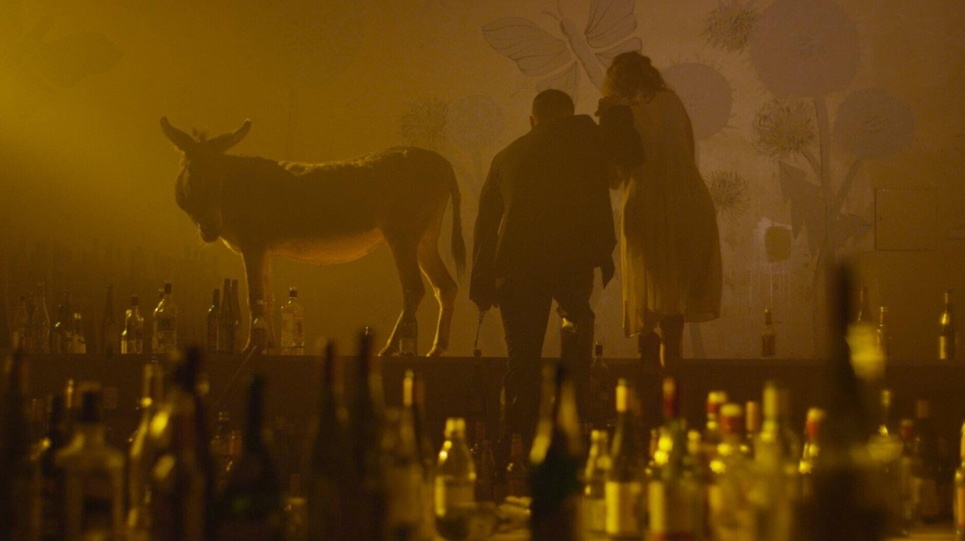 I Shall Return as a Flaming Rose 2014 movie scene