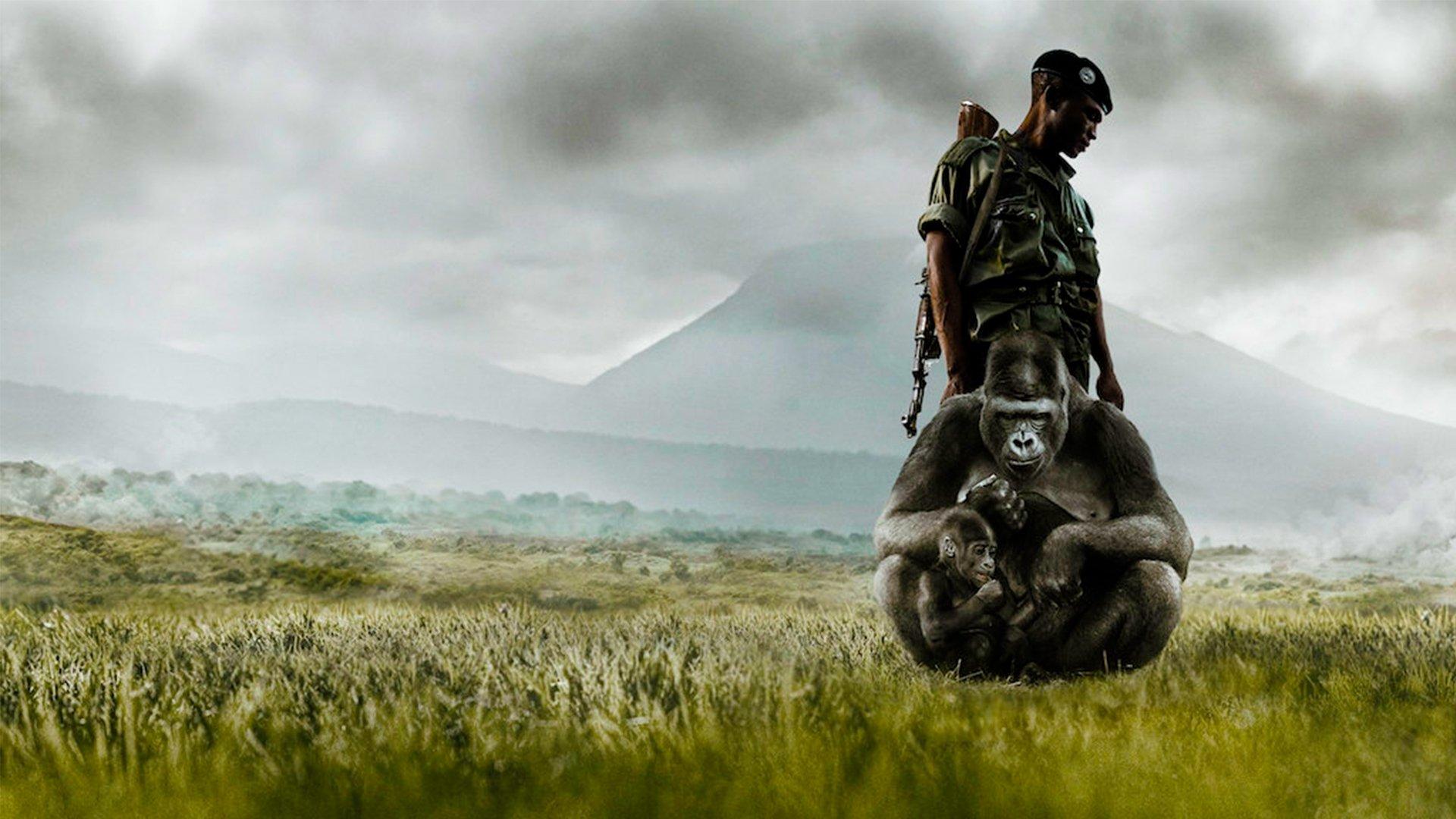 Virunga 2014 movie scene