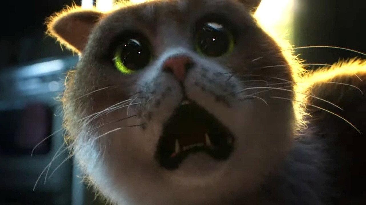 Scaredy Cat 2020 movie scene
