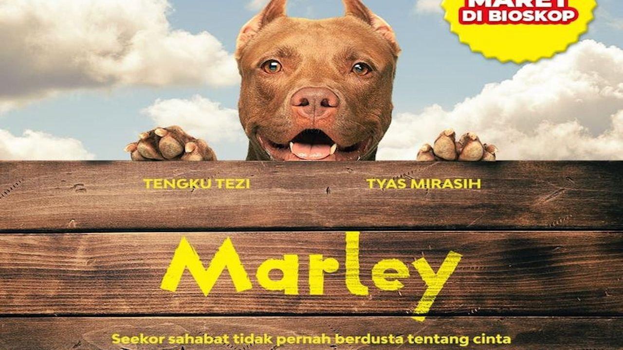 Marley 2022 movie scene
