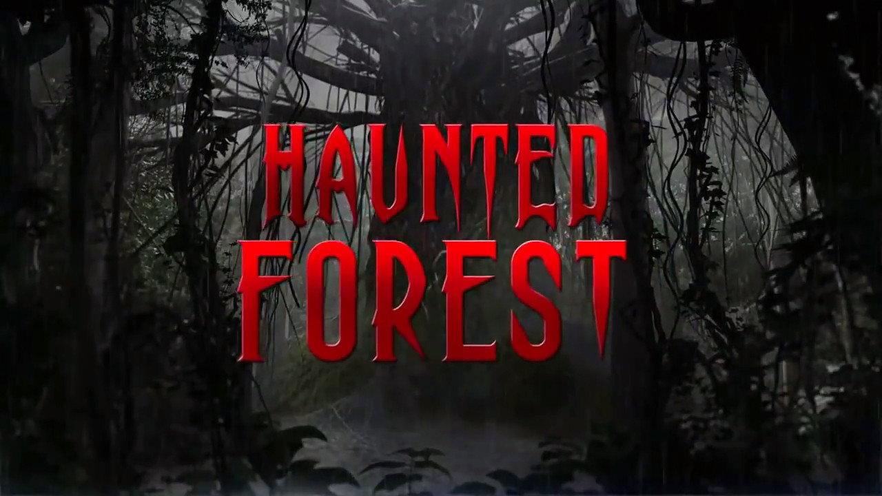 Haunted Forest 2017 movie scene
