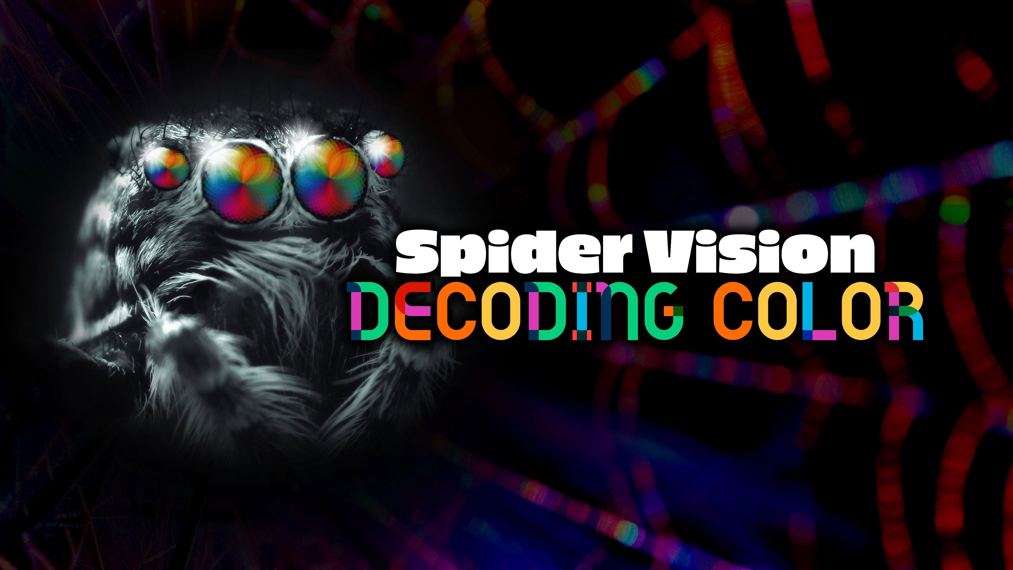 Spider Vision: Decoding Color 2024 movie scene