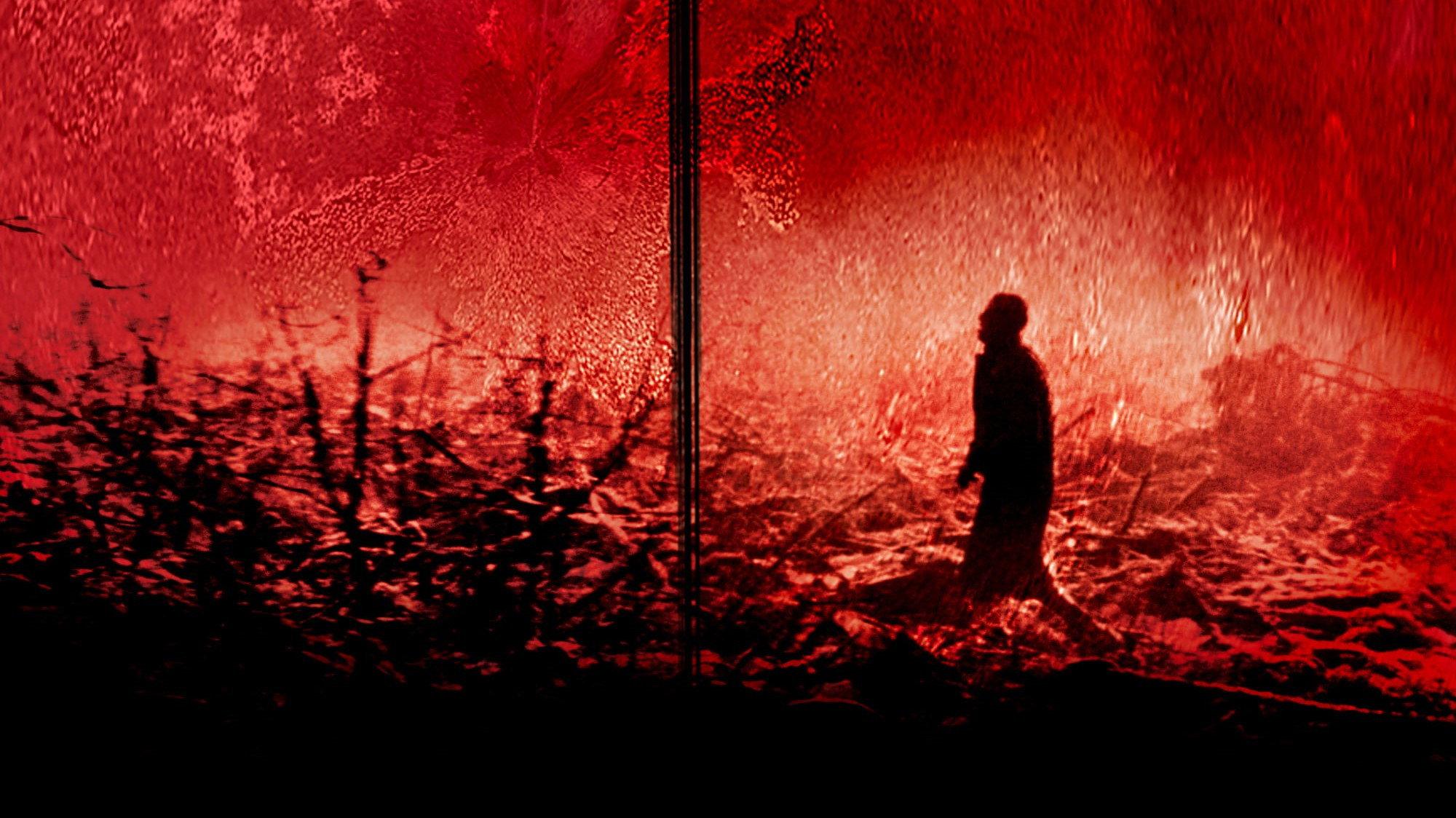 Calvaire 2005 movie scene