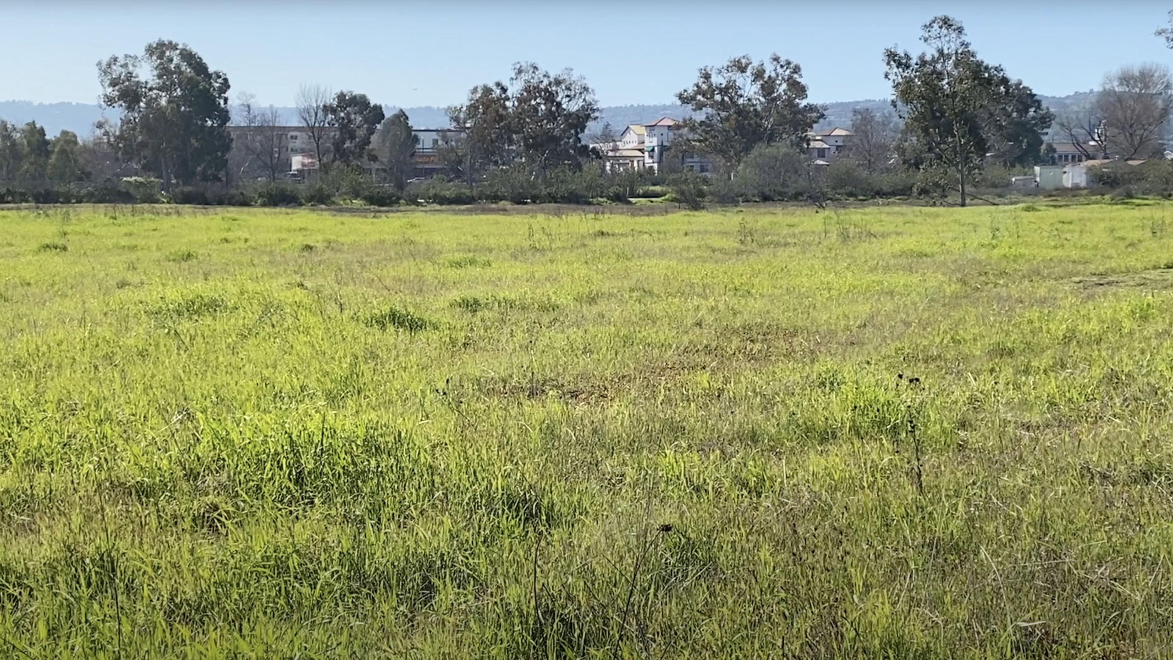 Madrona Marsh 2023 movie scene