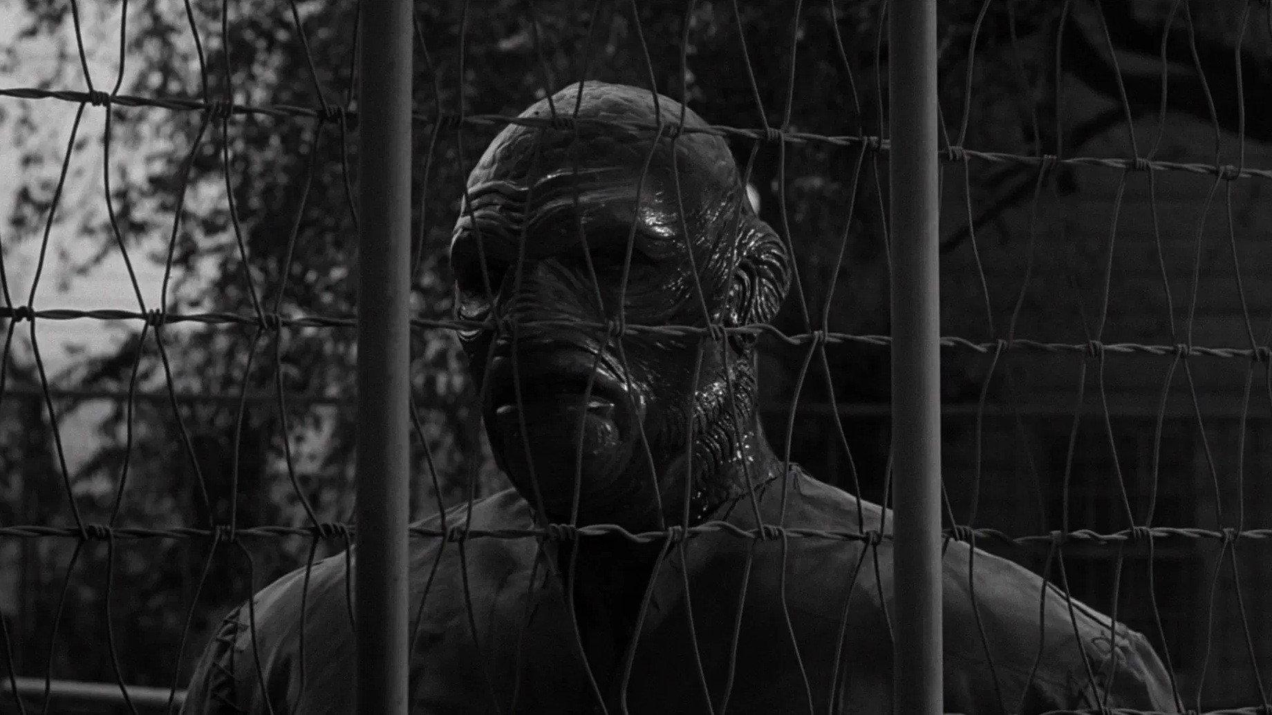 The Creature Walks Among Us 1956 movie scene