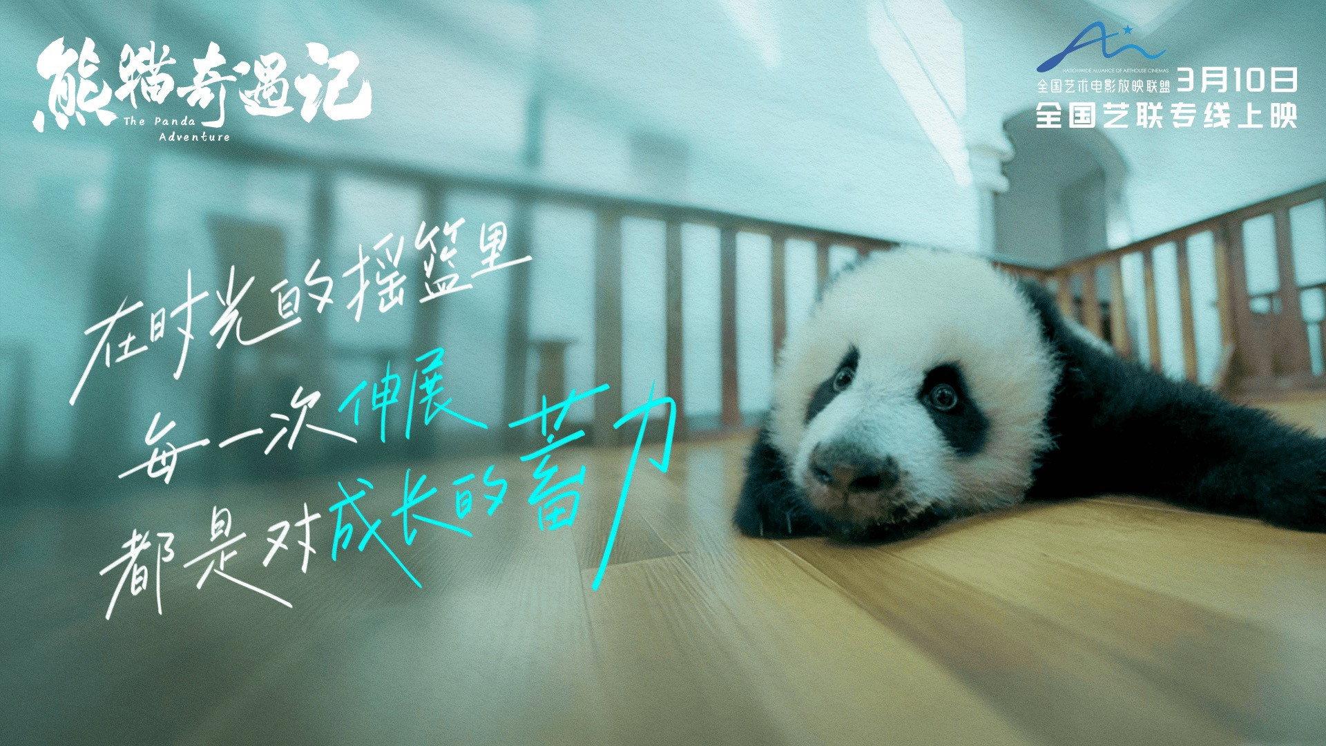The Panda Adventure 2026 movie scene