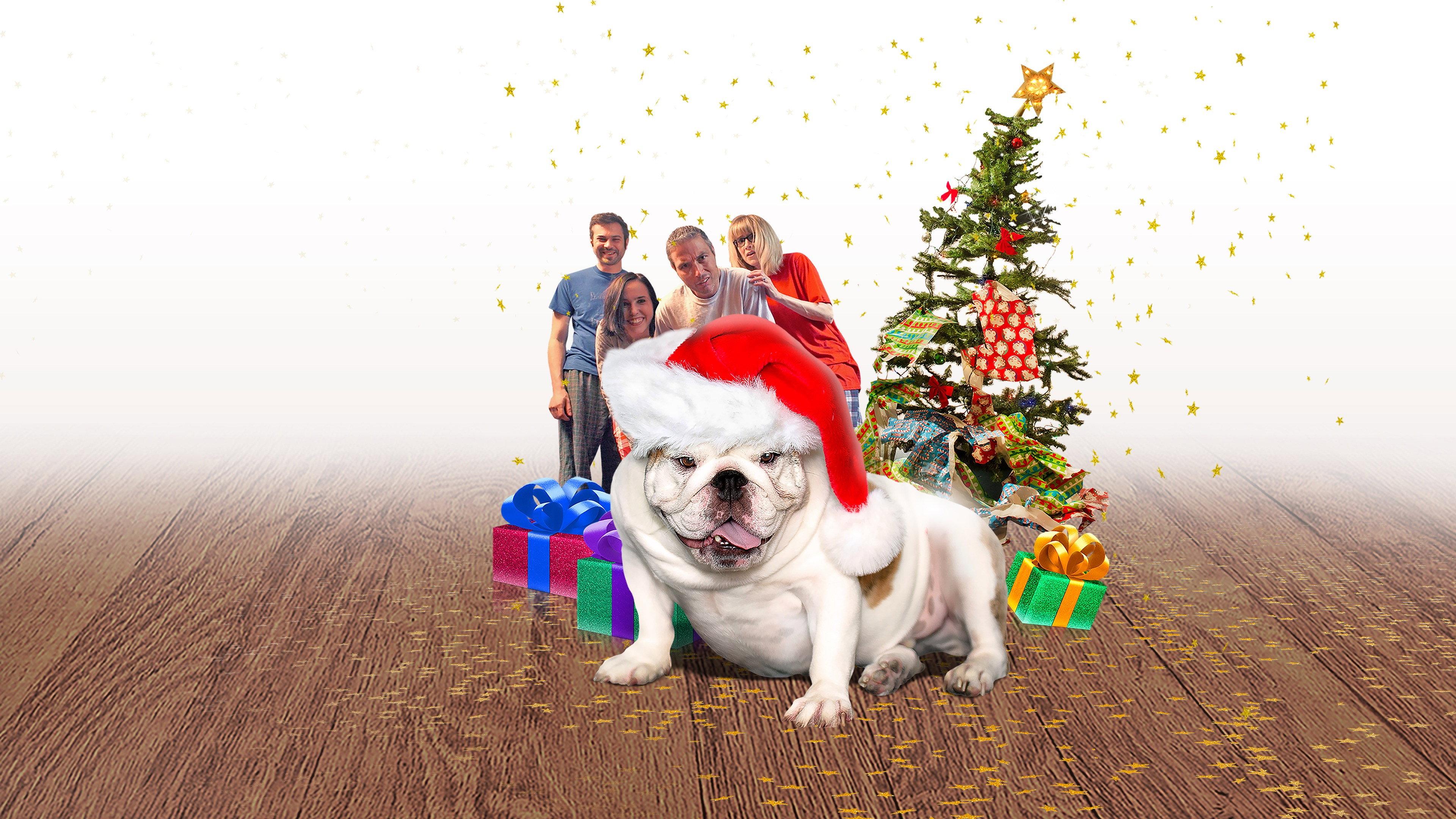 A Bulldog for Christmas 2013 movie scene