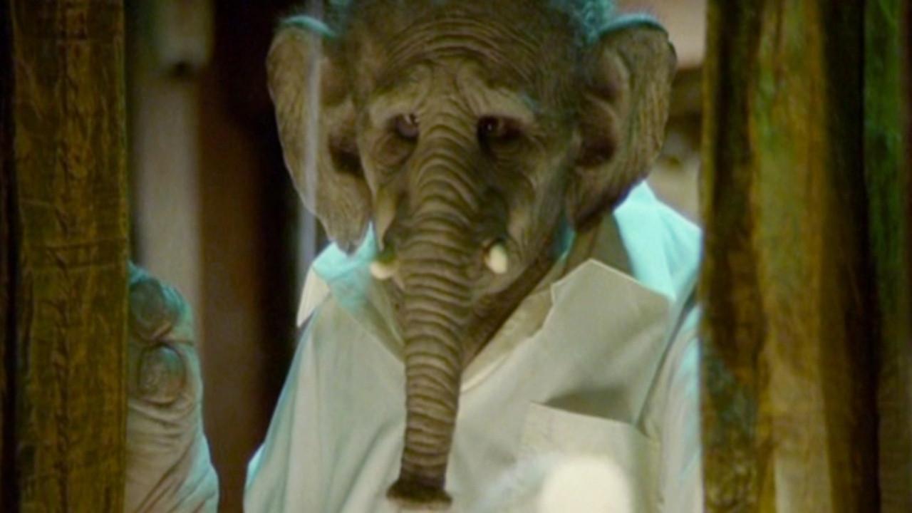 Elefante 2011 movie scene