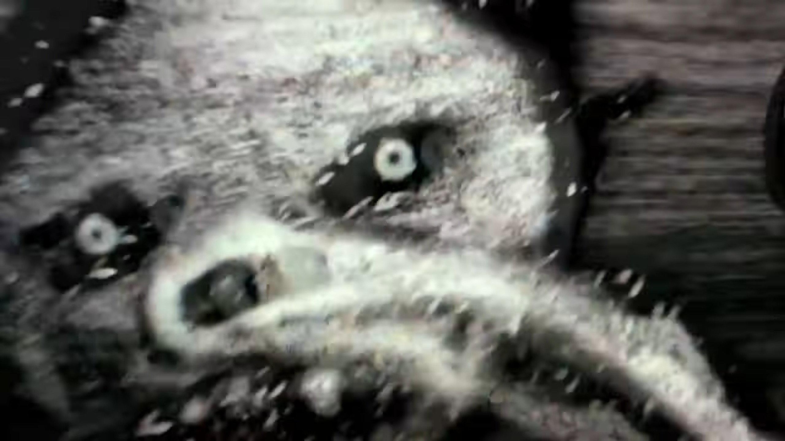 Interpol: I Touch a Red Button 2011 movie scene