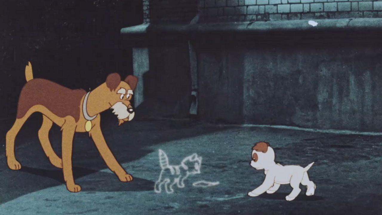 Tracks on the Asphalt 1964 movie scene