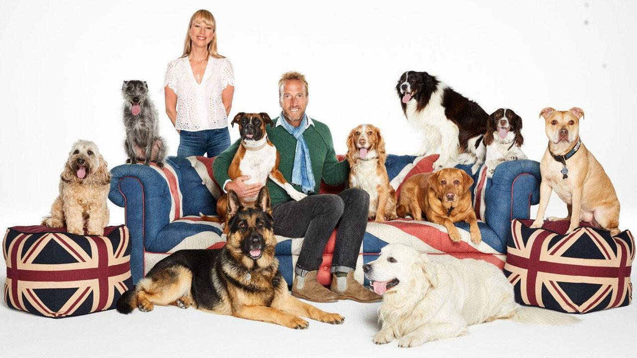 Britain's Favourite Dogs: Top 100 2018 movie scene
