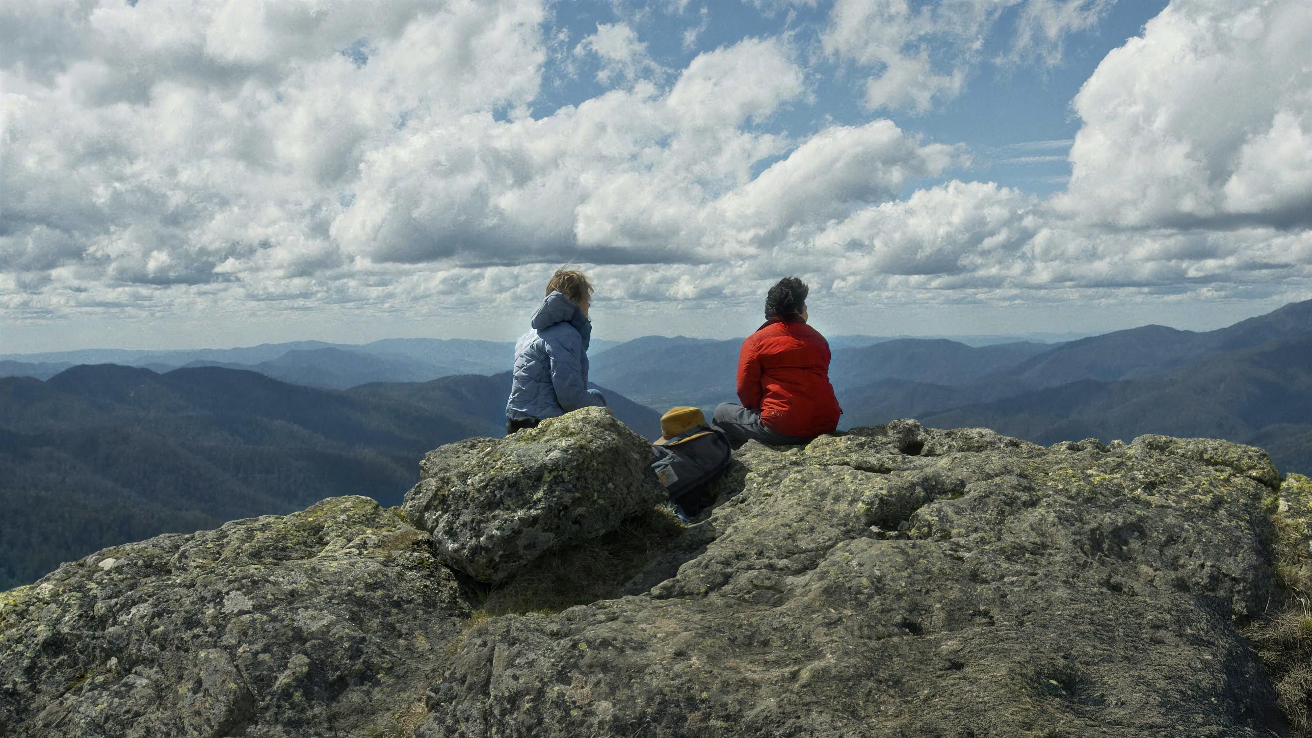 Wilderness 2026 movie scene