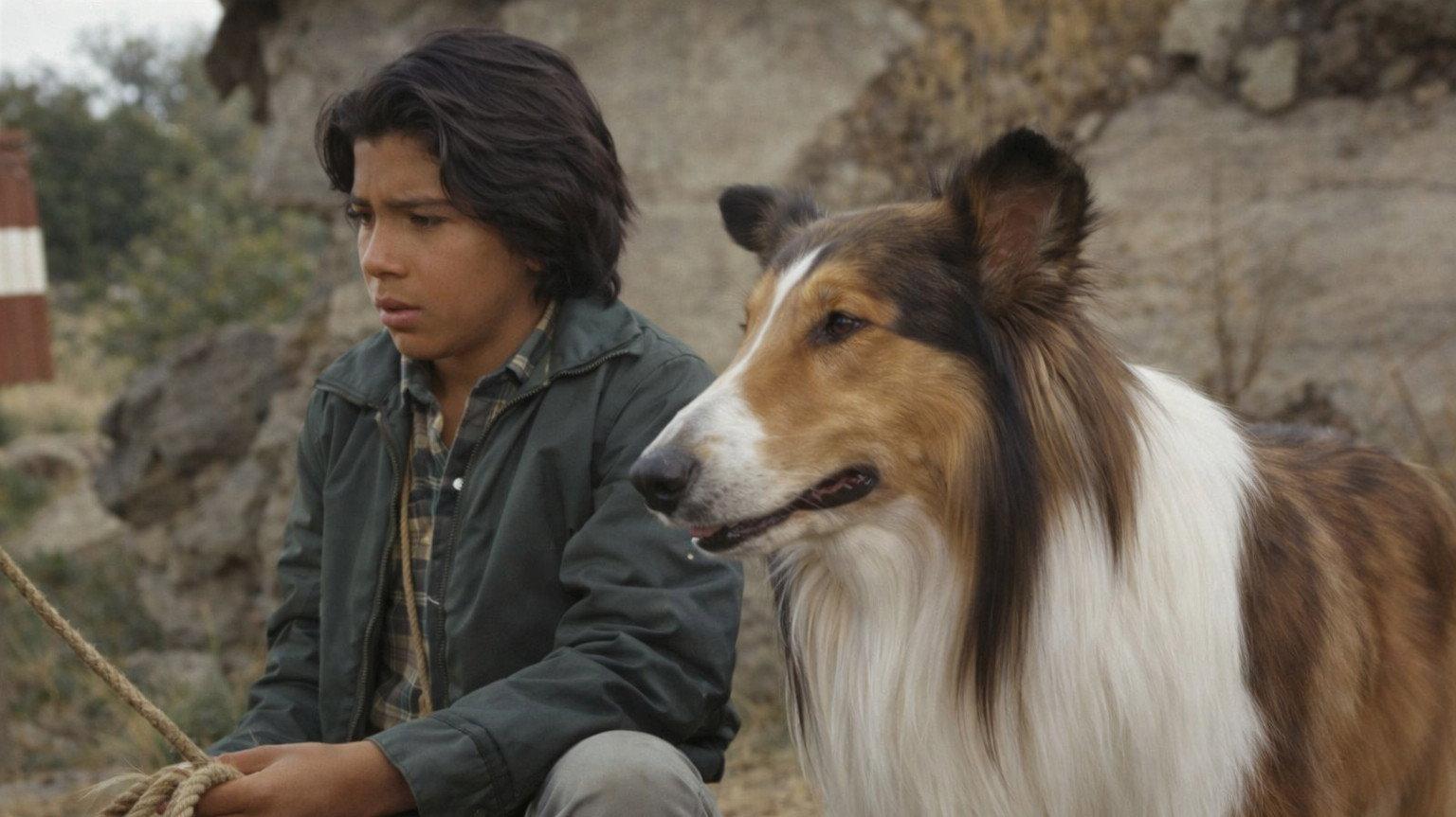 Lassie: The Adventures of Neeka 1969 movie scene